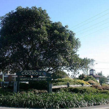 Cooroy Luxury Motel Apartments Buitenkant foto