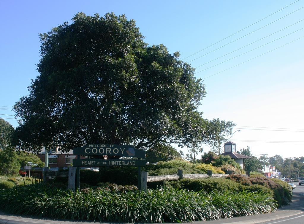 Cooroy Luxury Motel Apartments Buitenkant foto